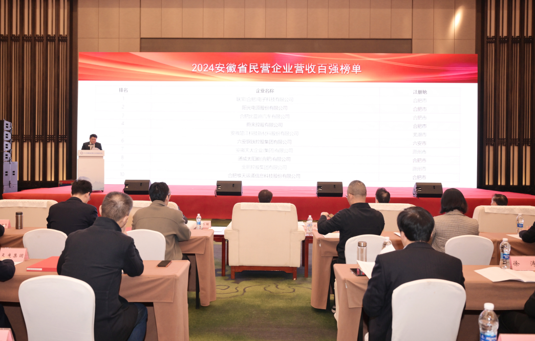 最新！2024安徽省民营企业百强榜单发布