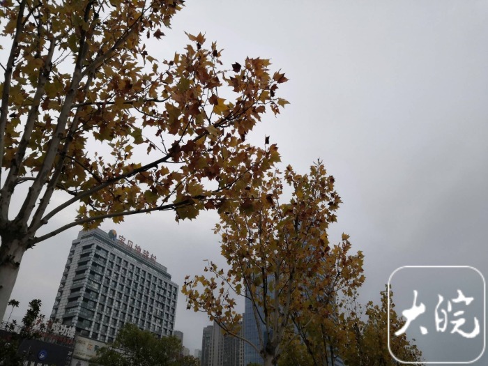 冷空气接连来袭，8日9日安徽最低气温-4℃