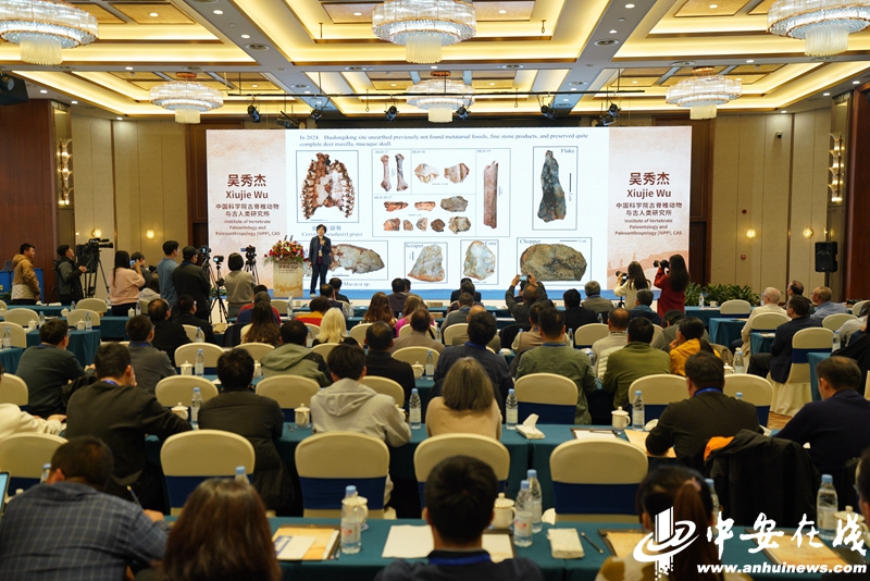 文化中国行｜我们从哪里来？穿越30万年探秘古人类生活图景