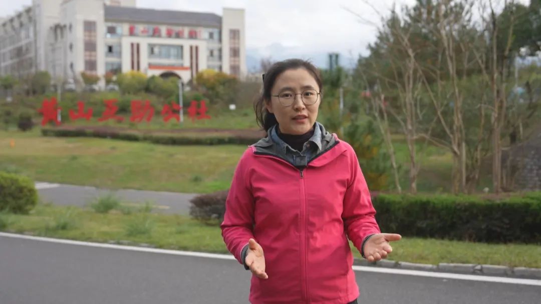 安徽：增强大黄山辐射效应 打造全域高品质康养基地