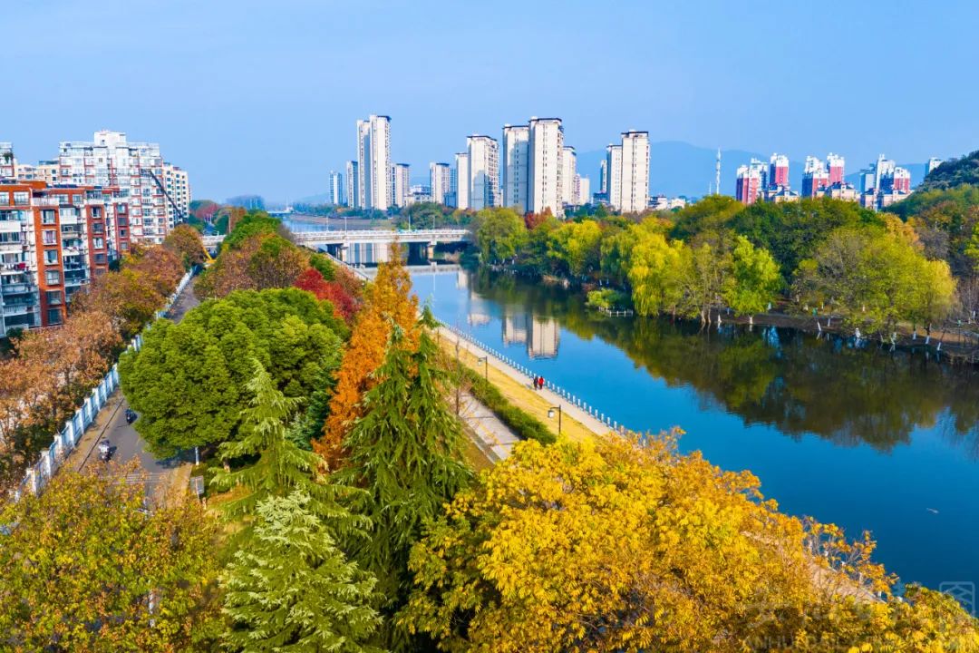 安徽的2024：一个开放印记鲜明的年份