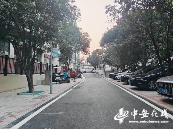 中安观察｜新年特辑·小区焕新记