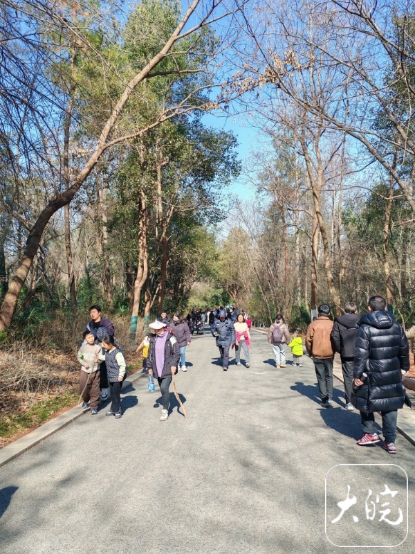8日早晨安徽最低温预计跌至-8℃