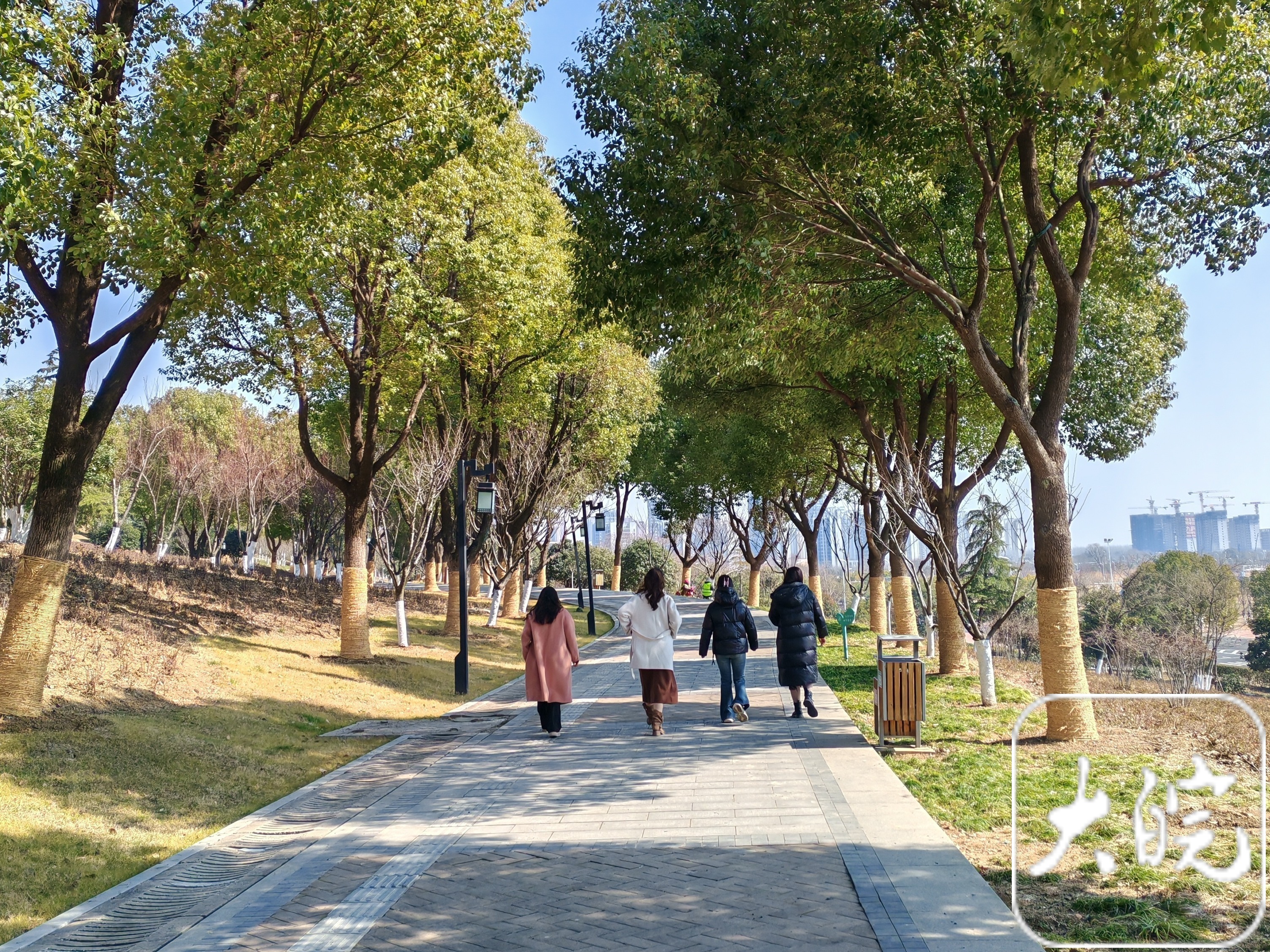 未来几天大回暖，安徽部分站点或飙到﻿30℃