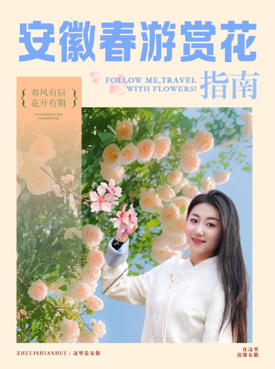 这里是安徽 | 安徽春游赏花指南