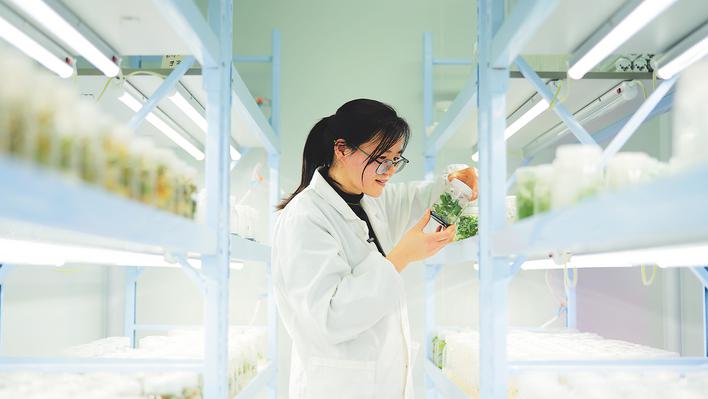 合肥科学岛上，有一间“植物工厂”