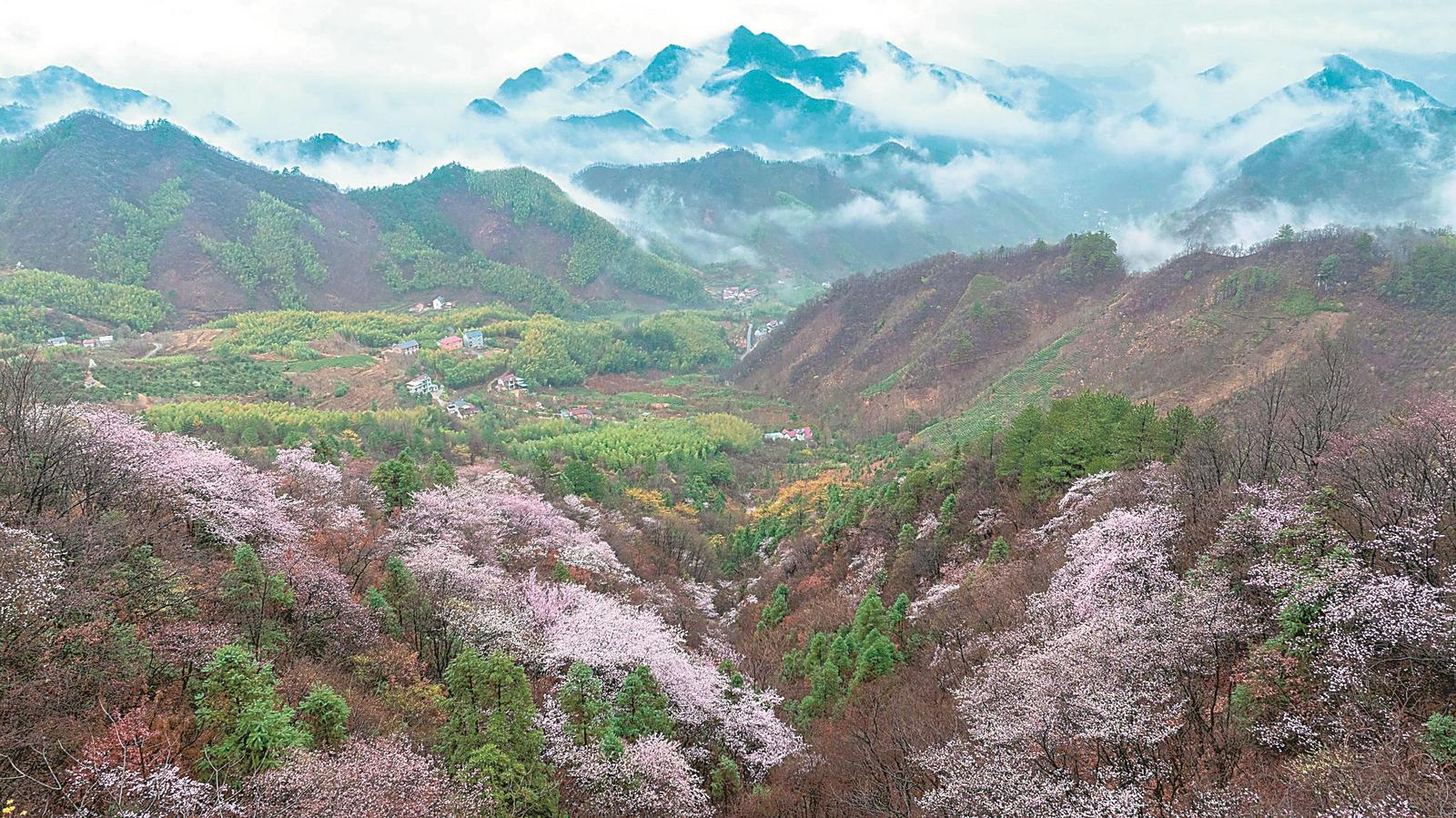 ​春天里，总要来一趟安徽吧！