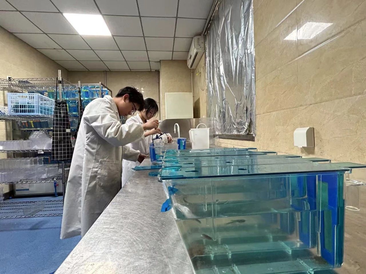 创新者说丨华芯智微：让小菌株撬动大产业