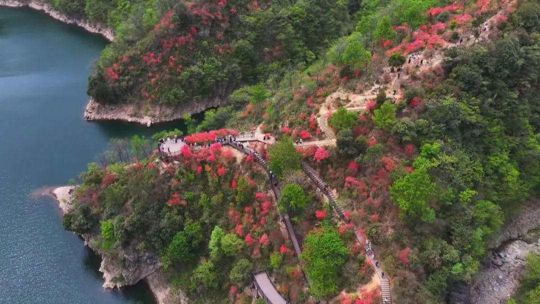 【春游江淮请您来】春染大地 赏景游玩正当时