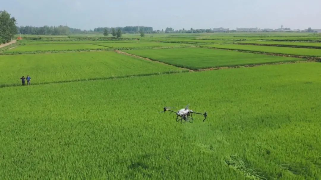 安徽耕地面积连续4年净增加