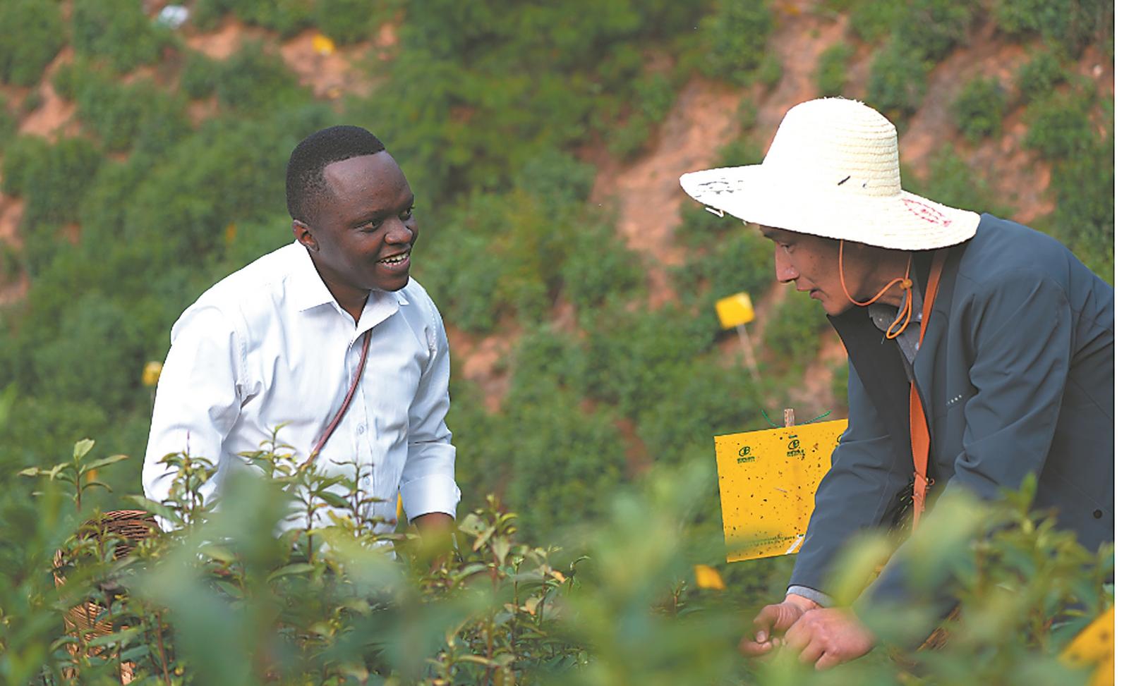 一位肯籍留学生的调研笔记