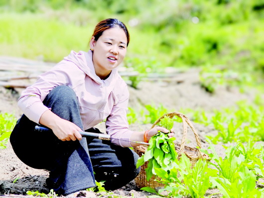 【榜样】“志”在山野　“菊”自盛开