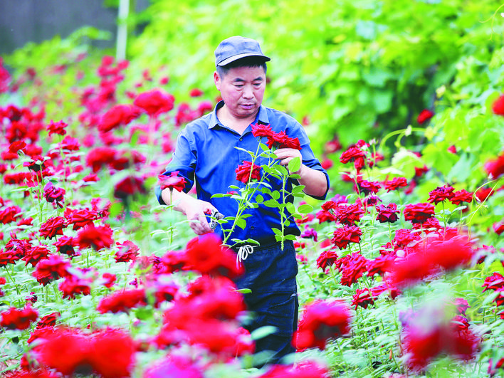 快看！合肥藏着一处“秘密花园”