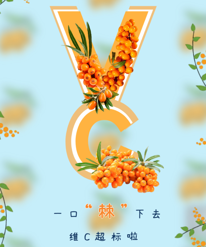 每日一品丨维C之王——沙棘