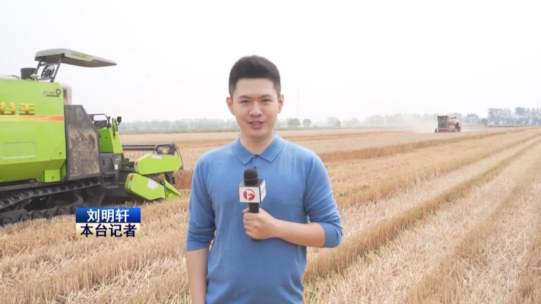 开镰！安徽省小麦主产区抢收全面展开