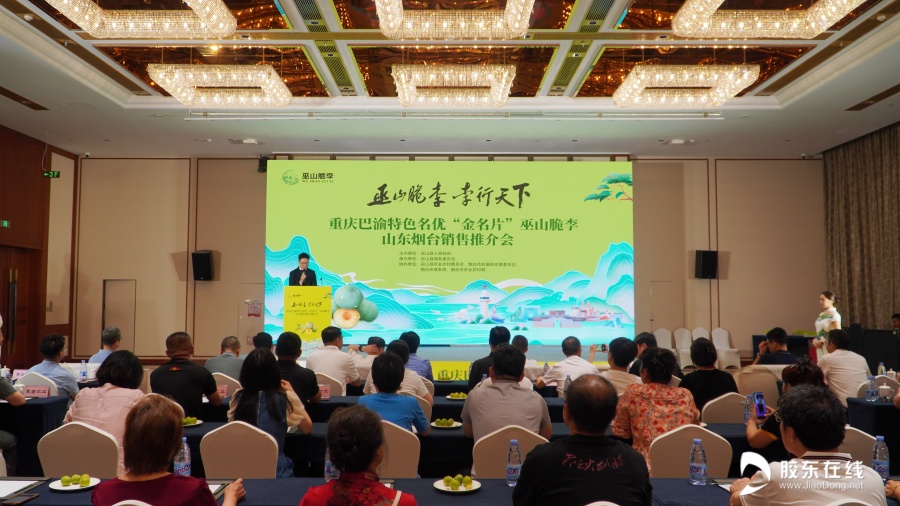 深化鲁渝协作 共享脆李香甜！“巫山脆李”山东烟台销售推介会成功举办