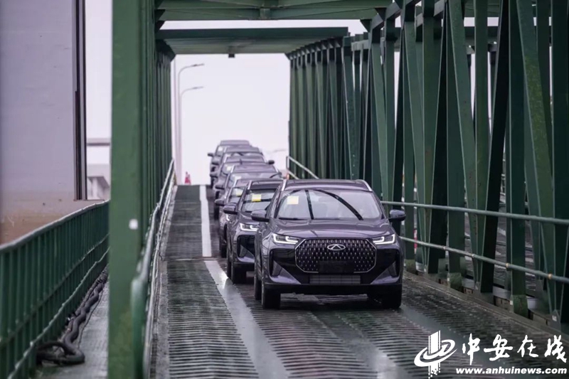 营商·商赢 | 政策组合拳护航“汽车皖军”破浪出海