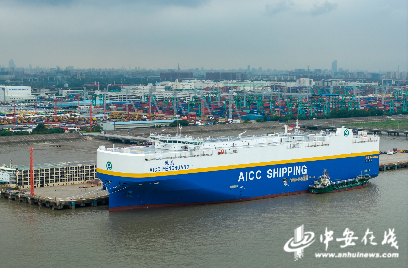 中安观察|一辆车与一条产业链的共生密码