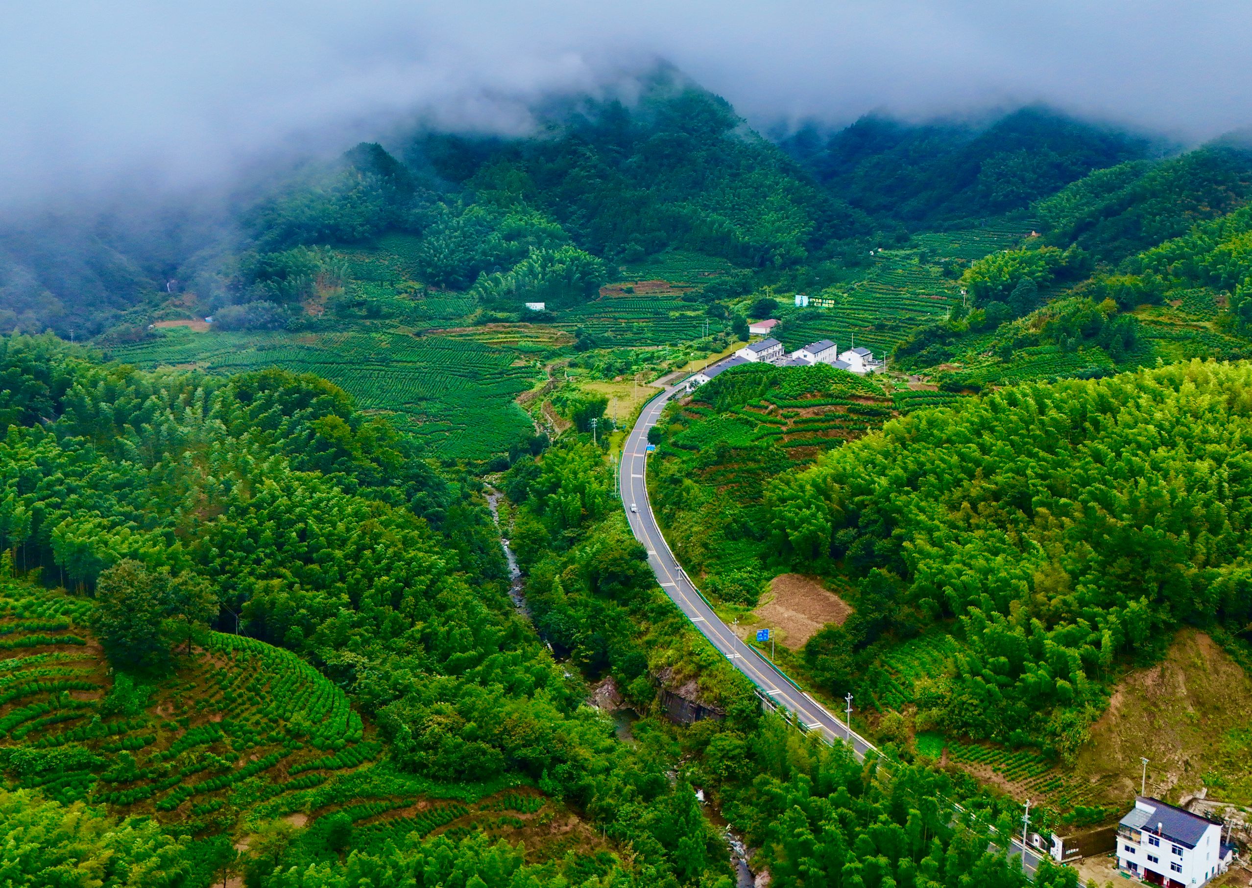 中安观察｜“乡”间小路：一条 “四好农村路”引来的新业态