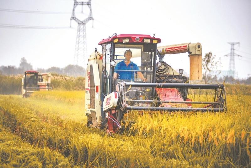 安徽省秋粮收获进度过七成