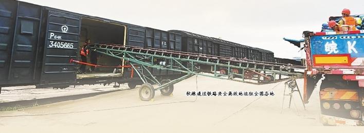 多式联运打通皖粮运输“快车道”