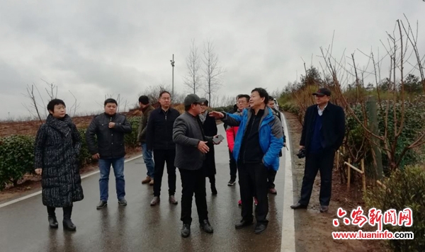 六安市桃产业发展专家座谈会召开