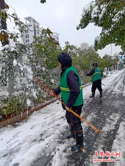 园林工人紧急除雪保绿