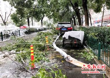 清雪除障保畅通