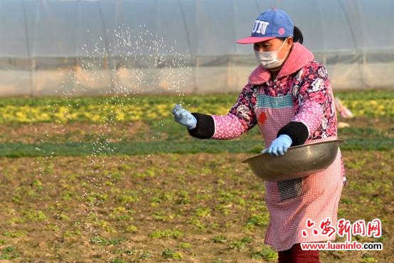 二月早春催农忙