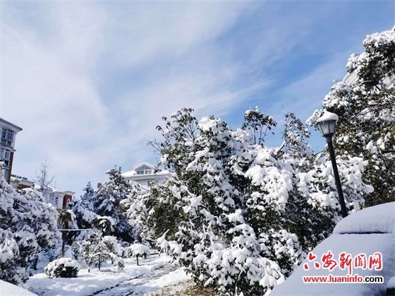 雪晴云淡日光寒
