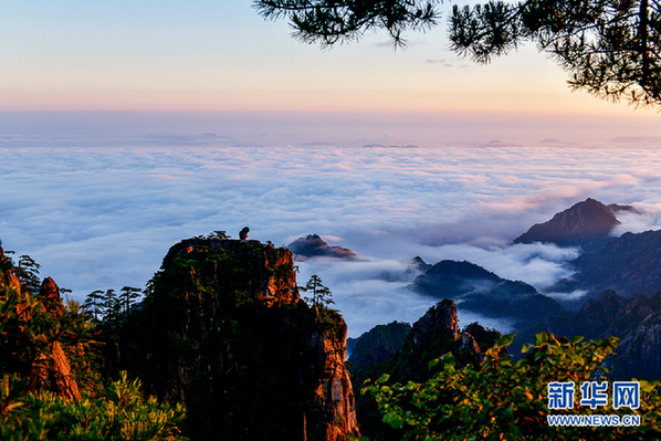 暖心！疫情下，黄山这样敞开胸襟……