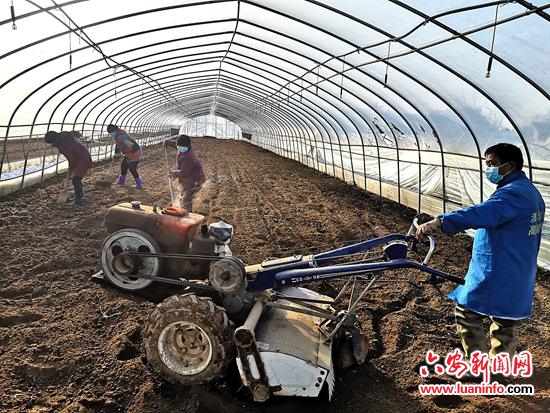 整理地块种蔬菜