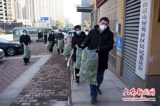 爱心菜薹送社区