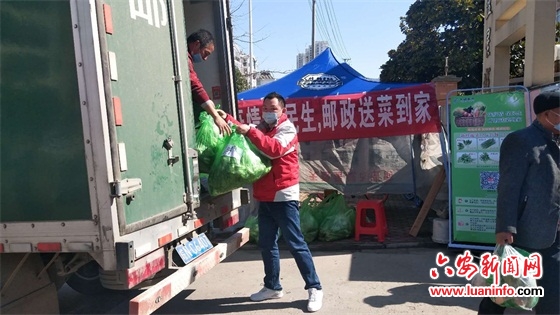 人在家中坐 菜从田间来——市区联手试点防疫扶贫两手抓惠民生