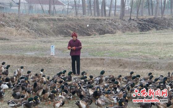 六钢集团：精准扶贫献爱心 靶向助销农产品