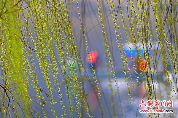 春光烂漫生机盎然