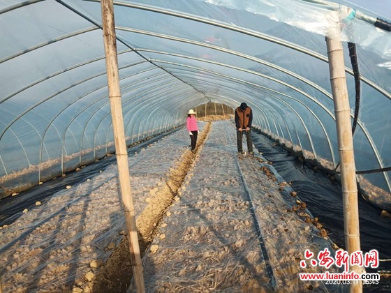 东桥镇春耕备耕忙、企业机器响、服务行业活