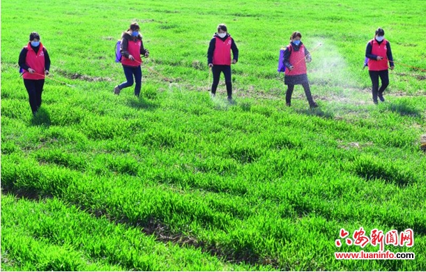 裕安区委统战部：坚持边抗“疫”边“宣”战