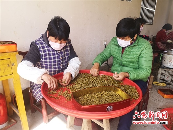 霍山县太平畈乡：发展特色产业 助力群众致富