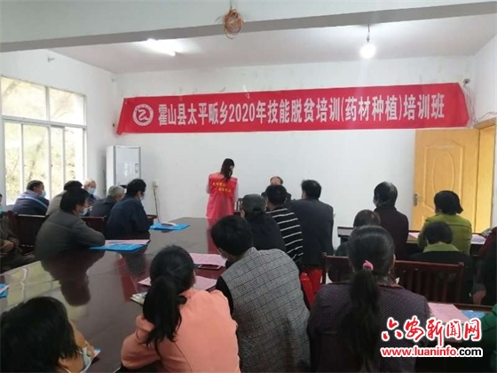 太平畈乡：志愿者助力技能培训 贫困户增添脱贫底气