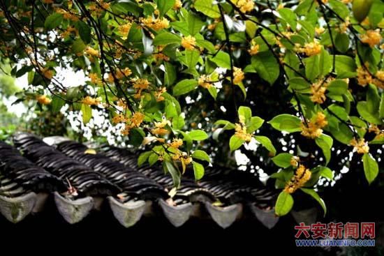 小记者才艺作品